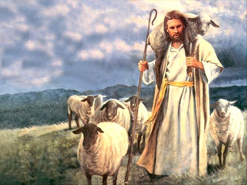 Jesus_Sheep-01-803x602.jpg